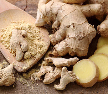 Ginger Root For Canine Health